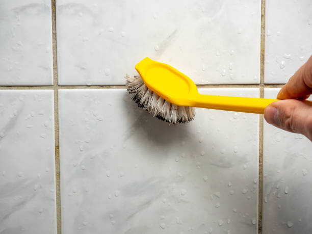 Best Emergency Mold Removal  in Muskegon, MI