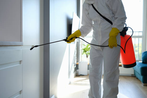 Crawl Space Mold Removal in Muskegon, MI