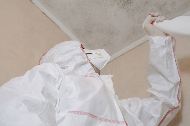 Best Mold Testing  in Muskegon, MI